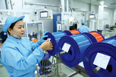 Thúc đẩy hoạt động năng suất chất lượng: 13Win 19.com link truy cập hưởng 'trái ngọt'