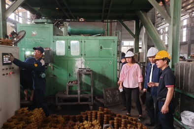Áp dụng Lean và dấu ấn cải tiến thành công: Bài học từ Công ty cao su Dầu Tiếng