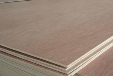 Điều tra chống lẩn tránh thuế phòng vệ 13Win19 tải ứng dụng mặt hàng gỗ gia tăng