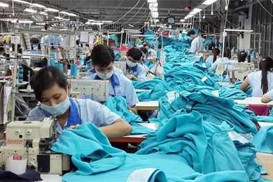 Hàng Việt đi châu Âu từ 1/8: Cấp ngay chứng nhận xuất xứ hàng hóa 