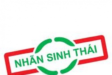 Thúc đẩy dán nhãn và chứng nhận nhãn sinh thái cho sản phẩm tiêu dùng