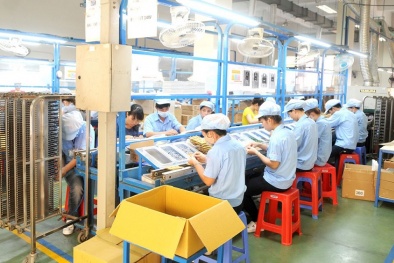 Đẩy mạnh công tác hỗ trợ triển khai chứng nhận đối với hàng xuất khẩu