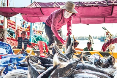 6 tháng đầu năm, xuất nhập khẩu đạt 238,4 tỷ USD