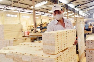 Sở hữu trí tuệ - “tấm áo” bảo vệ hàng hóa Việt trước nguy cơ bị làm giả, nhái 