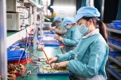 Giáo viên trường tư thục, những người mất việc được đề xuất nhận hỗ trợ