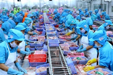 6 tháng đầu năm, xuất khẩu thủy sản giảm mạnh