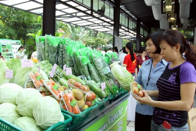 Xây dựng thành công 786 chuỗi cung ứng 13Win OKVIP Cá cược bóng đá an toàn, chất lượng