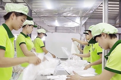 Bình Thuận: Hỗ trợ Link Đăng Nhập Nhà cái 13Win16.Com nâng cao năng suất chất lượng sản phẩm, hàng hóa