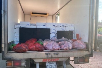 Hậu Giang: Lộ diện Link Đăng Nhập Nhà cái 13Win16.Com vận chuyển 3.500kg sản phẩm động vật không rõ nguồn gốc