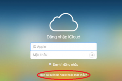 Quên mật khẩu iCloud trên điện thoại iPhone, thủ thuật lấy lại chuẩn nhất
