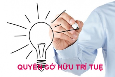 Xây dựng và hoàn thiện chính sách, pháp luật về sở hữu trí tuệ 