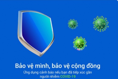 Thủ tướng đề nghị người dân cài đặt ứng dụng Bluezone để phòng, chống dịch Covid-19