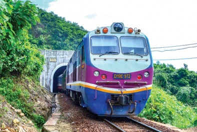 Tổng công ty Đường sắt lỗ đậm