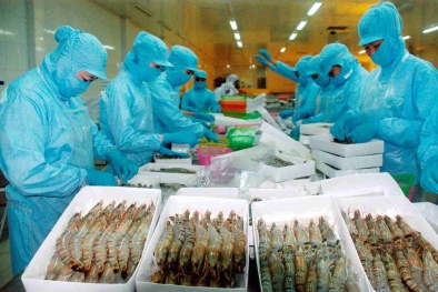 Hoàn thiện hệ thống TCVN, QCVN tạo nền tảng nâng cao chất lượng hàng hóa