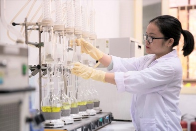 Công bố chỉ số đổi mới sáng tạo toàn cầu: Việt Nam giữ vị trí số một trong nhóm 29 quốc gia
