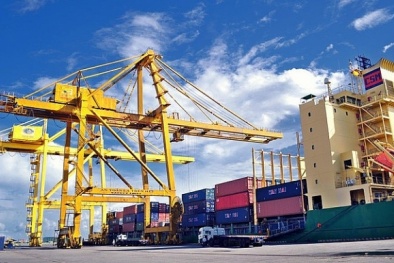 Giá trị xuất nhập khẩu hàng hóa đạt trên 50 tỷ USD trong tháng 8
