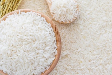 Quy định chứng nhận chủng loại gạo thơm xuất khẩu sang EU