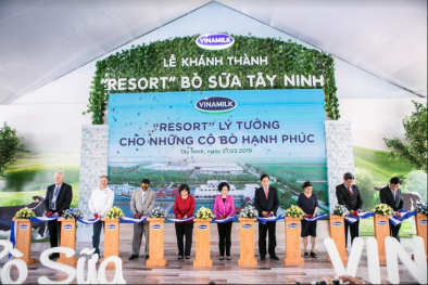 Hệ thống trang trại bò sữa Vinamilk đạt mức tăng trưởng ấn tượng
