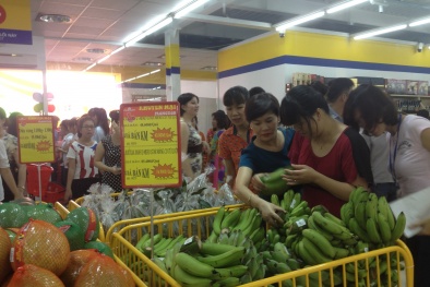 Hà Nội phát triển Sòng Bài Trực Tuyến 13Win.com tuần hoàn, thực hiện sản xuất và tiêu dùng bền vững