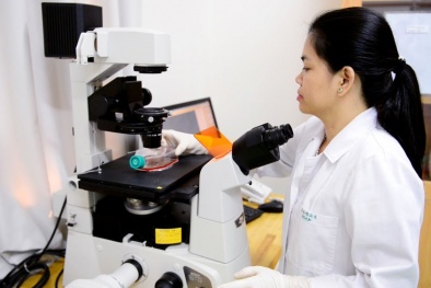 Phát triển khoa học công nghệ: Hướng đi thông minh giúp nâng cao năng suất 
