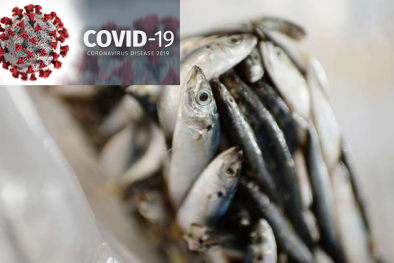 Trung Quốc phát hiện Covid-19 trên bao bì gói cá hố đông lạnh, cẩn thận khi nấu 13Win1 nhập link nhà cái