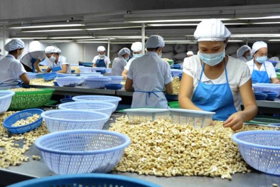 Sau 1 tháng EVFTA có hiệu lực, Việt Nam xuất khẩu sang EU đạt gần 4 tỷ USD