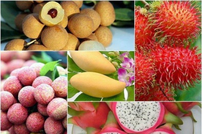 Tận dụng dư địa thị trường, tăng cường xuất khẩu trái cây sang Trung Quốc 