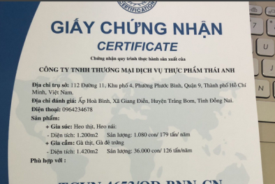 Vụ làm giả chứng nhận VietGap, Cục Chăn nuôi nói gì?