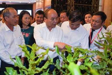'Mắc ca Việt Nam có thể đứng đầu thế giới'