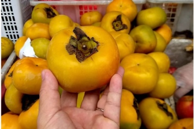 Nhận diện hồng Đà Lạt: Đừng nhầm với hồng Trung Quốc