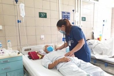 Cảnh báo nguy hiểm khôn lường từ thuốc diệt chuột thế hệ mới 