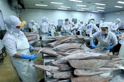 Đảm bảo tiêu chuẩn chất lượng đối với thủy sản xuất khẩu sang EU 
