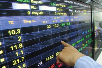 Công ty vận tải Đa phương thức Vietranstimex bị phạt 50 triệu đồng