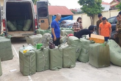 Buôn bán hàng hóa trôi nổi không rõ nguồn gốc sẽ bị phạt Đăng ký 13Win ngay nhé mức cao nhất