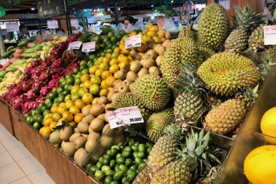 Xuất khẩu hàng hóa sang thị trường Singapore, Link Đăng Nhập Nhà cái 13Win16.Com cần nắm rõ điều gì?
