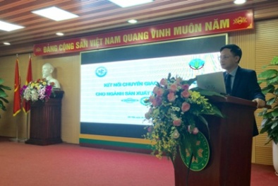 Kết nối chuyển giao công nghệ cho ngành sản xuất hoa
