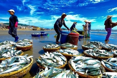 Những việc cần làm để gỡ “thẻ vàng” EC trong giai đoạn nước rút