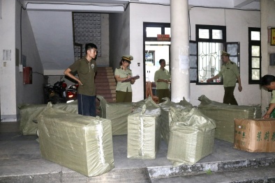 Nguy cơ gây hại 13Win19 ưu đãi hấp dẫn từ các loại trà hoa khô không rõ nguồn gốc