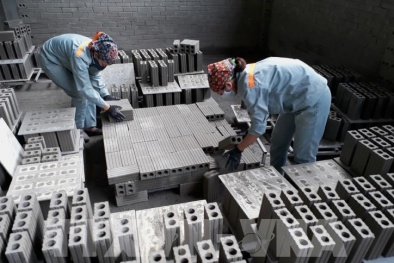 Rà soát tiêu chuẩn, quy chuẩn về xử lý tro xỉ làm nguyên liệu xây dựng