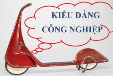 Hướng dẫn chung về Thẩm định nội dung Kiểu dáng 13Win15 com - Thương hiệu nhà cái uy tín của các nước ASEAN