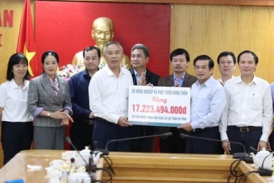 Khôi phục sản xuất Đăng ký và nhận 60K 24 bao lì xì miễn phí mỗi ngày, tạo sinh kế cho đồng bào vùng lũ miền Trung 