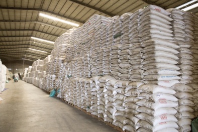 Ban hành Quy chuẩn kĩ thuật quốc gia đối với thóc tẻ dự trữ quốc gia