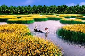 Lập quy hoạch vùng ĐBSCL để huy động hiệu quả mọi nguồn lực