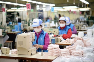 Tổng kết chương trình quốc gia về năng cao Năng suất chất lượng giai đoạn 2010-2020