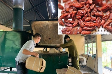 Lựa chọn hạt Kỷ Tử thận trọng kẻo dễ 'dính' hàng Trung Quốc không đạt tiêu chuẩn