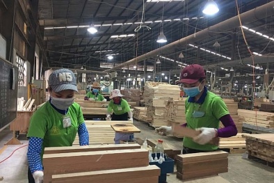 Ngành chế biến, xuất khẩu gỗ và lâm sản: Chủ động nguồn nguyên liệu gỗ hợp pháp