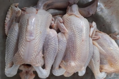 Sự thật gà ri giá rẻ 45 nghìn đồng/kg rao bán tràn lan trên mạng