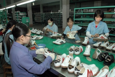 Đảm bảo tiêu chí chất lượng sản phẩm đối với hàng hóa xuất khẩu sang Hà Lan 