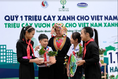 Vinamilk và Quỹ 1 triệu cây xanh cho Việt Nam được vinh danh top 10 hoạt động vì 13Win. app không bị chặn xuất sắc nhất – Giải CSR toàn cầu 2020