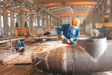Xây dựng đồng bộ, hoàn chỉnh hệ thống tiêu chuẩn của Việt Nam trong lĩnh vực cơ khí 